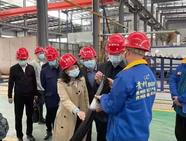 貴陽市常委、市工商聯(lián)、廣東總商會一行到我廠調(diào)研